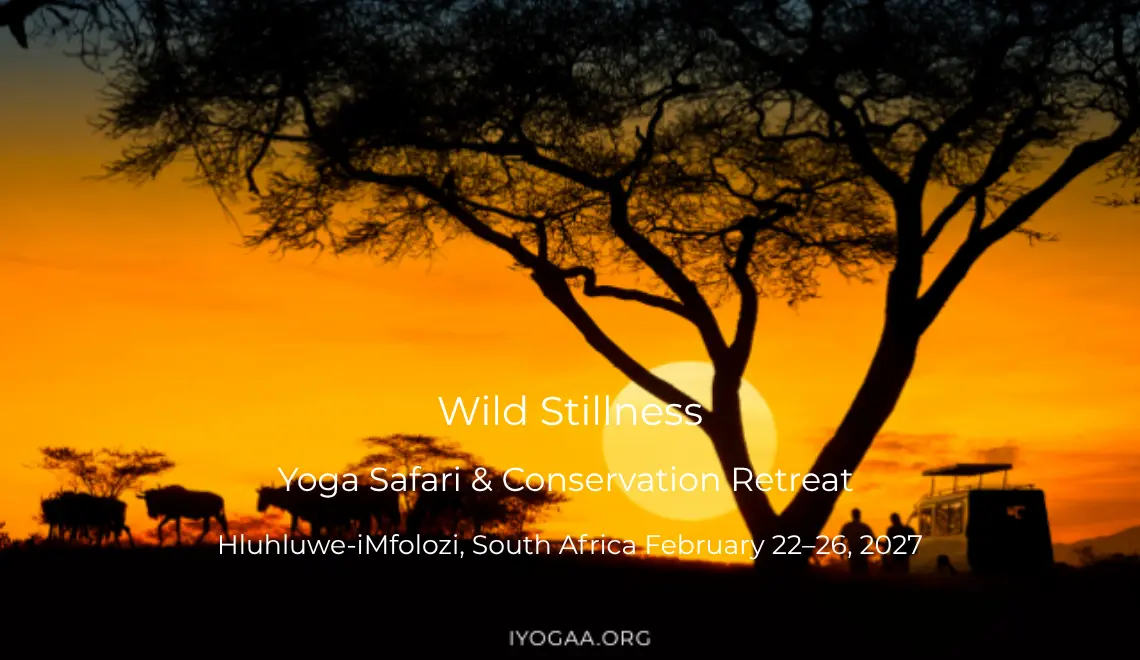 Wild Stillness: Yoga Safari & Conservation Retreat | 22 - 25 February 2027